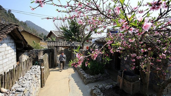 lolo chai village dong van ha giang traditional house